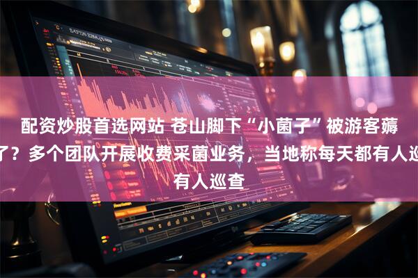 配资炒股首选网站 苍山脚下“小菌子”被游客薅秃了？多个团队开展收费采菌业务，当地称每天都有人巡查