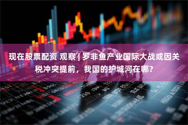 现在股票配资 观察 | 罗非鱼产业国际大战或因关税冲突提前，我国的护城河在哪？